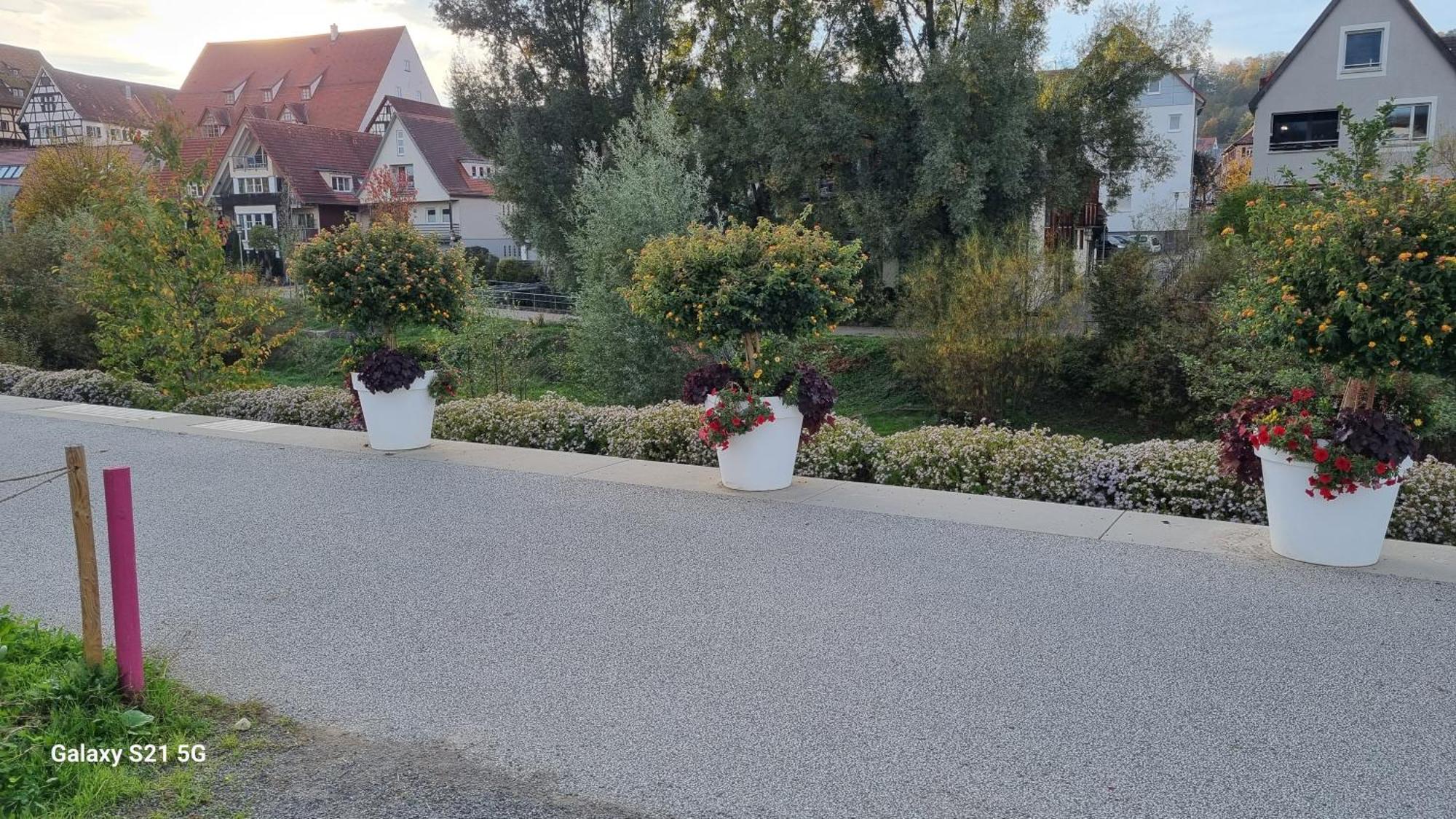 Schlafzimmer 1 Mit Top Aussicht Ueber Weilstetten 巴林根 外观 照片